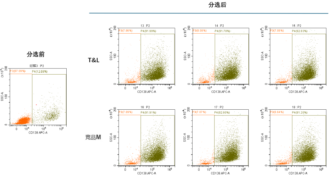 人生就是搏中国官网新品上市-MaxSortin™CD138分选磁珠