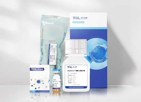 MaxSortin®CD14分选试剂盒